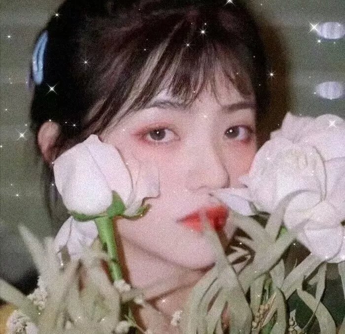 欢迎来北方