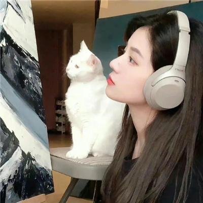 睡觉
